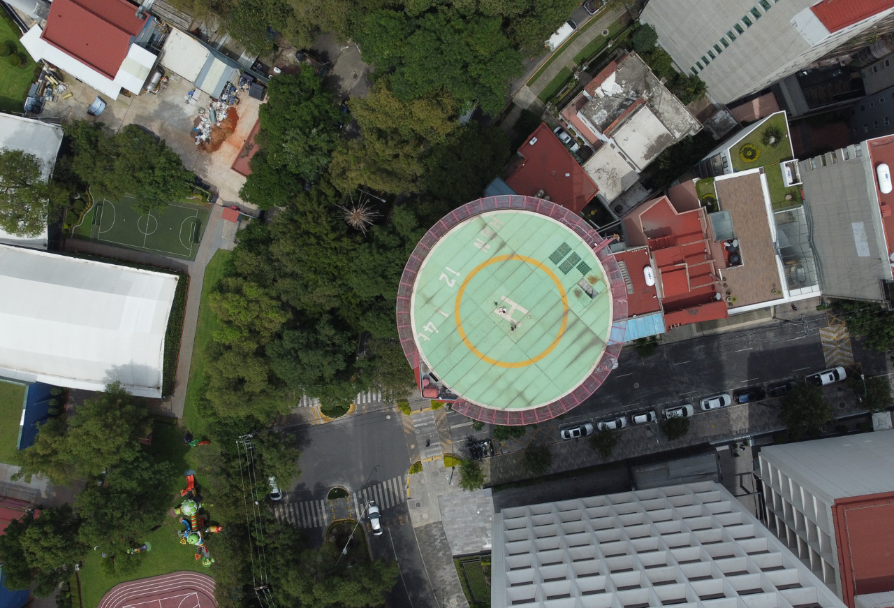 Campos Elíseos 29