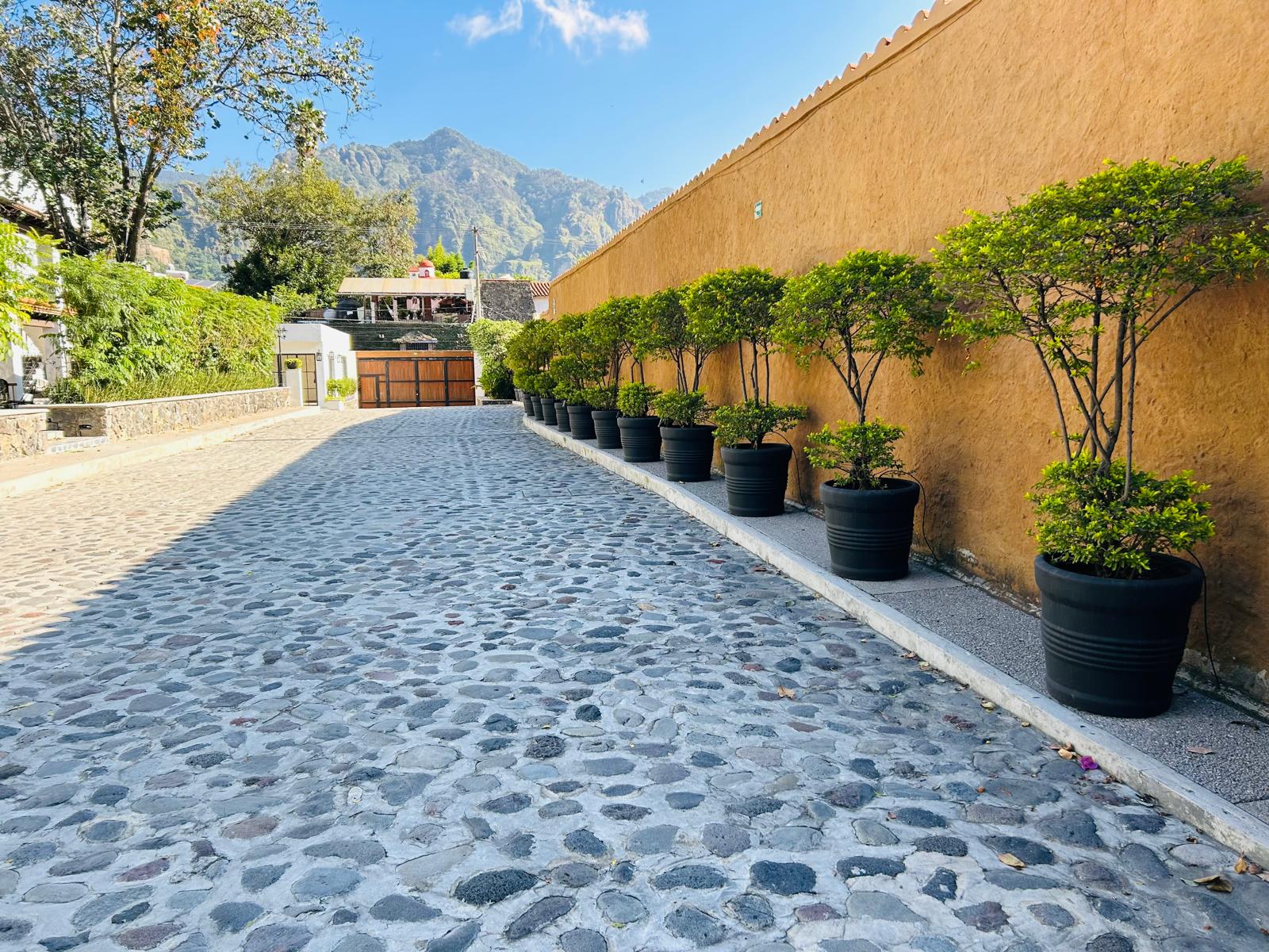 Tatala Hotel & Garden